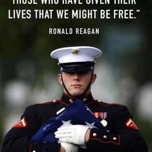 Meet your Posher, Kalli